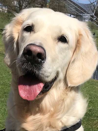 Fotochallange Nr. 57     PORTRÄT.   Beendet!!!!!!!!-Beitrag-Bild