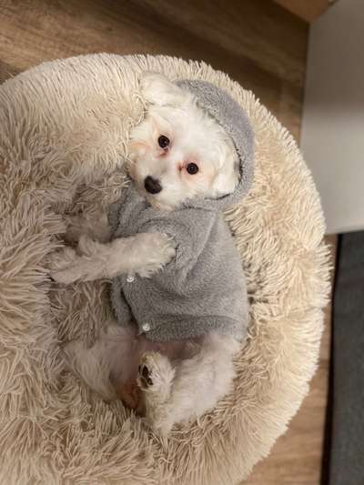 Lieblingsbild-Beitrag-Bild