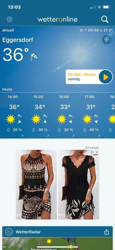 Rhodesian Ridgeback-Beitrag-Bild