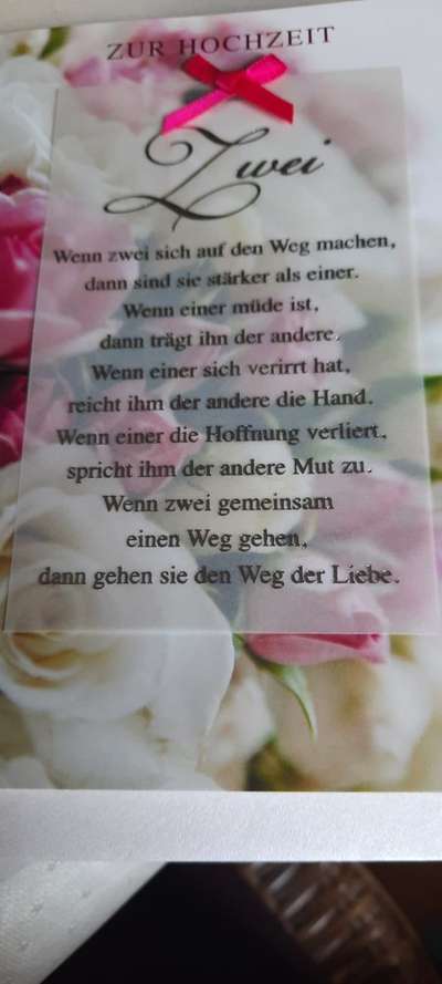 Rhodesian Ridgeback-Beitrag-Bild