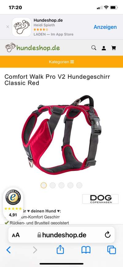 Rhodesian Ridgeback-Beitrag-Bild