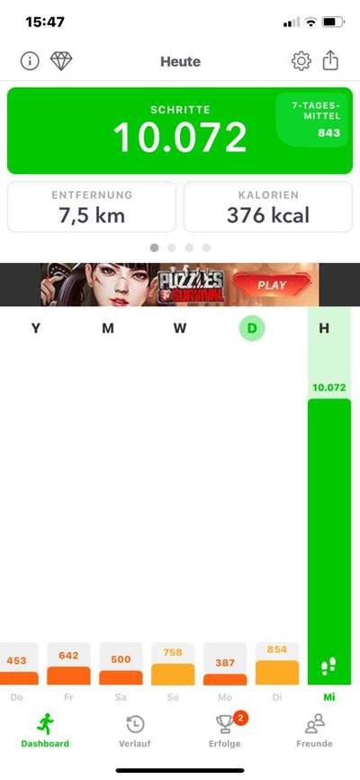 Rhodesian Ridgeback-Beitrag-Bild