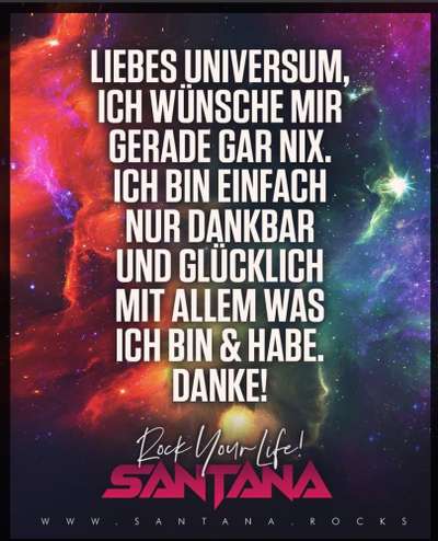 Rhodesian Ridgeback-Beitrag-Bild