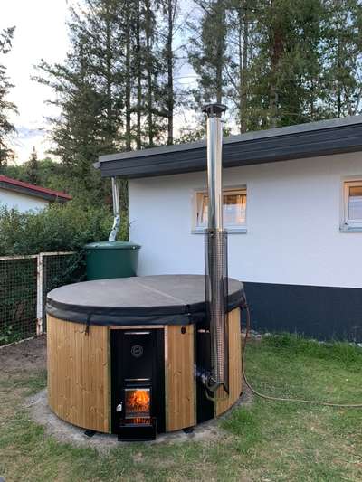 Rhodesian Ridgeback-Beitrag-Bild