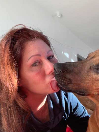 Rhodesian Ridgeback-Beitrag-Bild