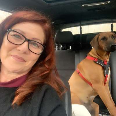 Rhodesian Ridgeback-Beitrag-Bild