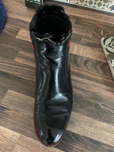 Rhodesian Ridgeback-Beitrag-Bild