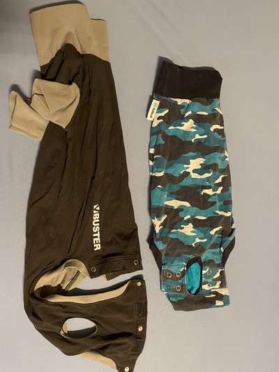 Windhunde - Treffen der besonderen Schönheiten
HERZLICH WILLKOMMEN-Beitrag-Bild