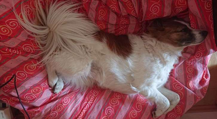 Schlafposition-Beitrag-Bild