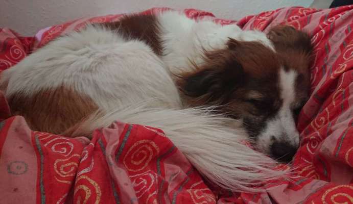 Schlafposition-Beitrag-Bild