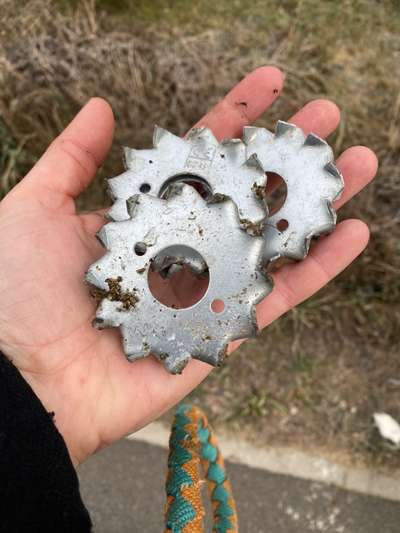 Giftköder-Gefährliche Metallteile-Bild