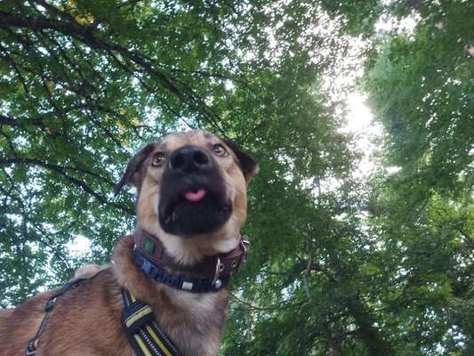 Handyfoto challenge Nr. 13: Waschlappen raus!-Beitrag-Bild