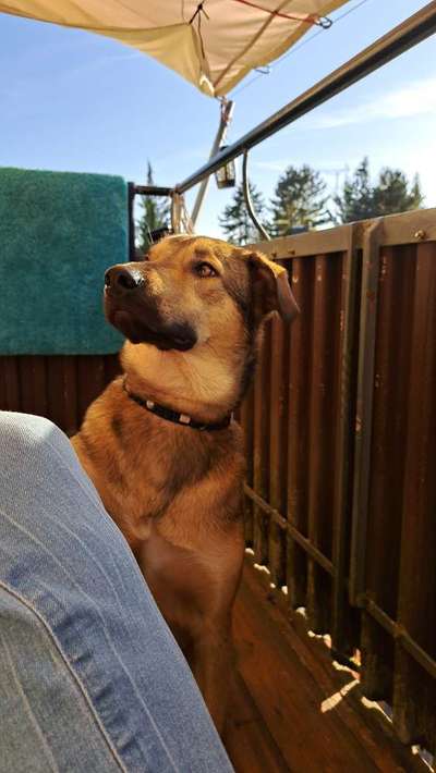 Bettel Blicke-Beitrag-Bild