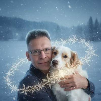 Hundetreffen-Gassi gehen-Bild