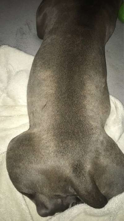 Abszess nach Spritze-Beitrag-Bild