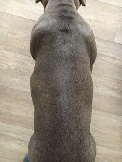 Abszess nach Spritze-Beitrag-Bild