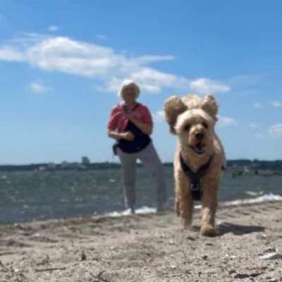 Birgit's Profilbild