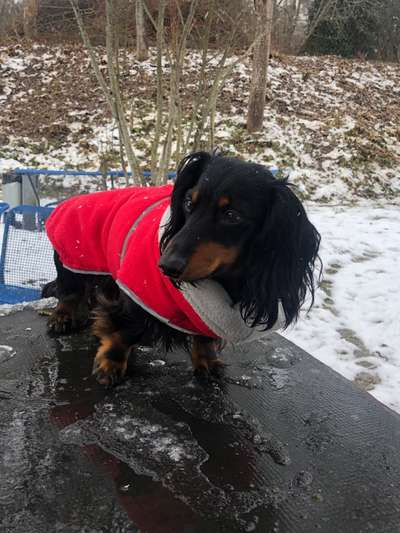 23. Collagen-Challenge: Portraits-Beitrag-Bild