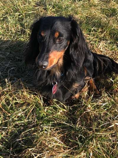 CHALLENGE Nr.17-Beitrag-Bild