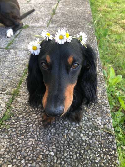 Lieblingsbild :D-Beitrag-Bild