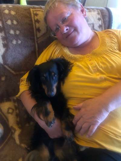 Fotochallenge 32 - Mein Schoßhündchen-Beitrag-Bild