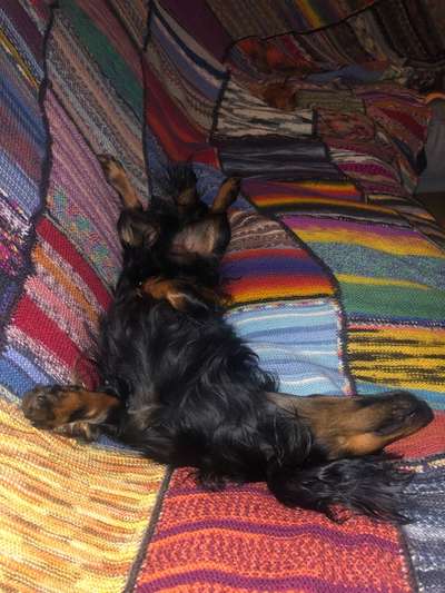 Schlafzeit!💖-Beitrag-Bild