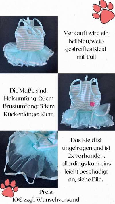 verschiedene Hundekleider-Beitrag-Bild