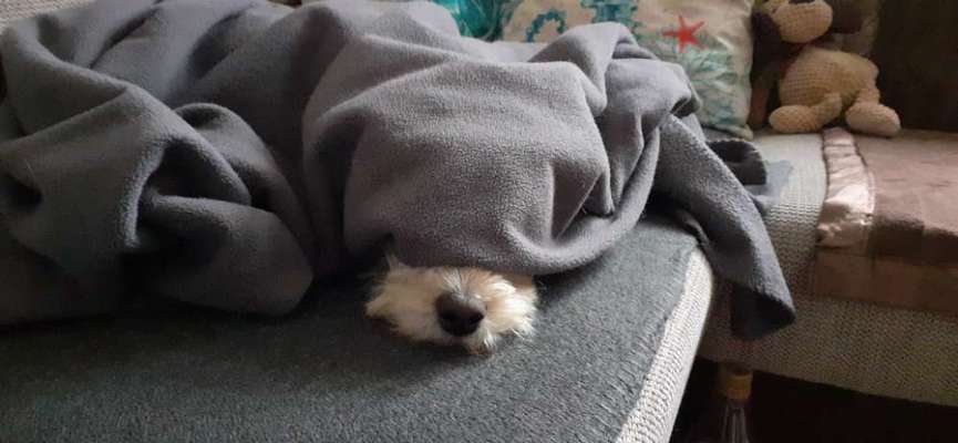 Challenge 21 - wo bin ich : )-Beitrag-Bild