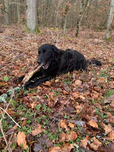 Theos Fotochallenge Nr. 3-Beitrag-Bild