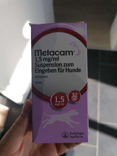 wurmkur und schmerzmittel-Beitrag-Bild