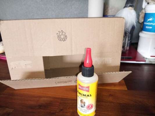 Verletzung am Pfotenballen-Beitrag-Bild