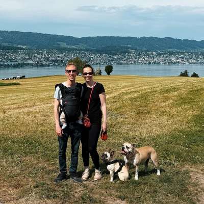 Hundetreffen-Elterntreff mit Hunden-Bild