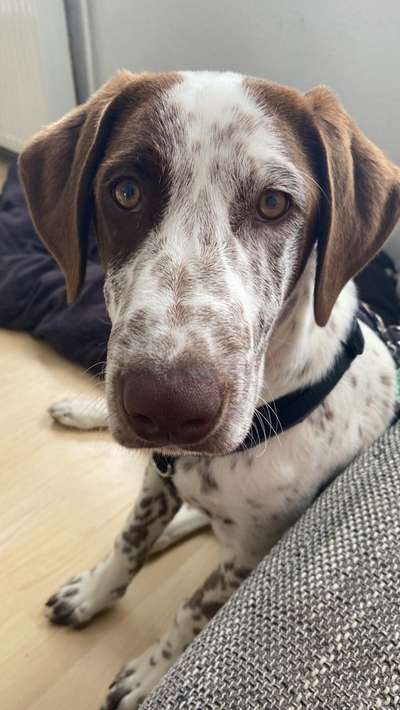 Lieblingsbild-Beitrag-Bild