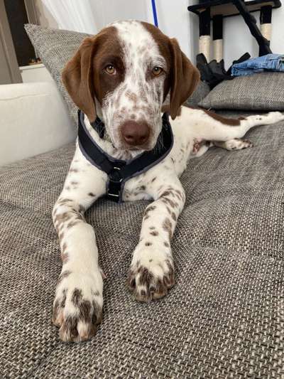 Lieblingsbild-Beitrag-Bild