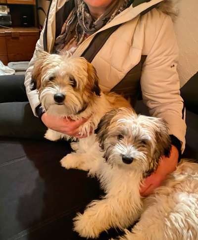 Das erste Foto-Beitrag-Bild