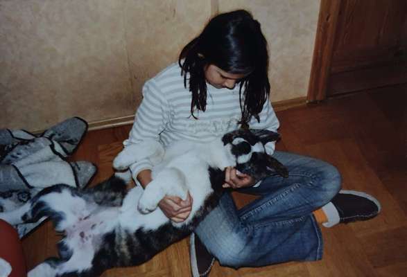 85. Foto Challenge : Schosshund-Beitrag-Bild