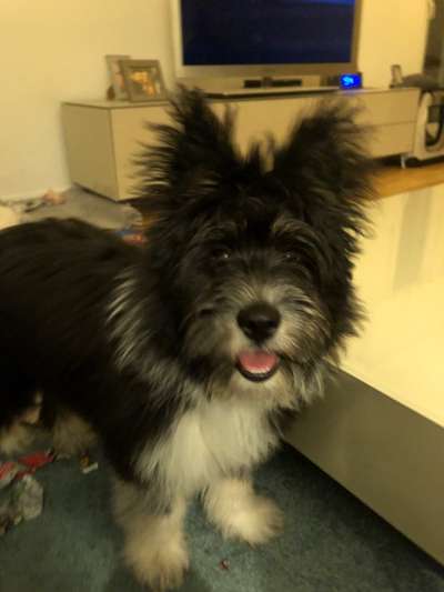 Lieblingsbild-Beitrag-Bild