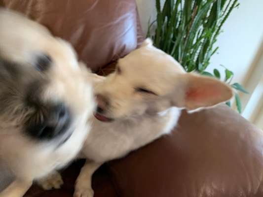 Un...scharf Bilder-Beitrag-Bild