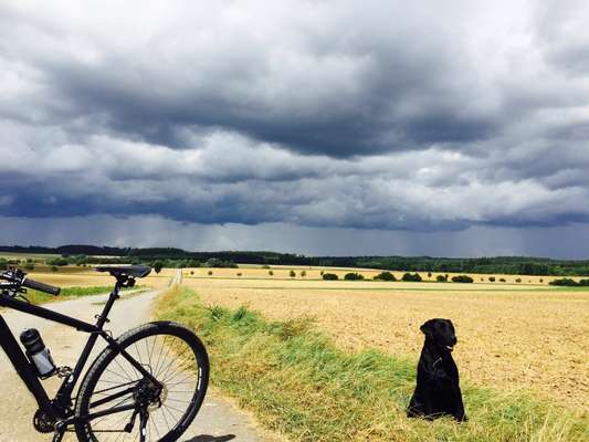 41. Handy Fotochallenge - Euer gemeinsames Hobby-Beitrag-Bild