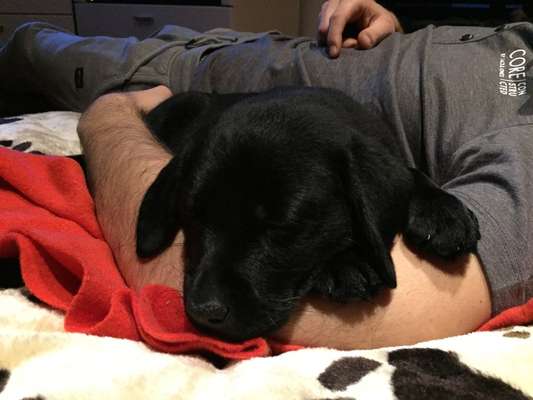 Foto Challenge Nr. 134-Beitrag-Bild