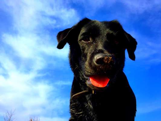 42. Handy Fotochallenge - Den richtigen Riecher haben-Beitrag-Bild