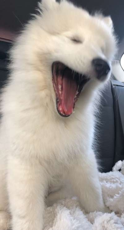 Her mit dem Grimassen-Beitrag-Bild