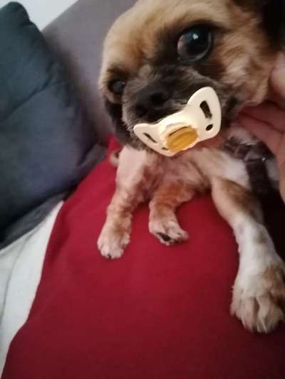 Lieblingsbild-Beitrag-Bild