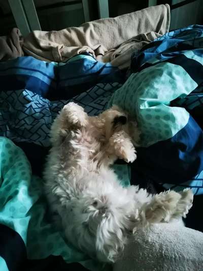 Was wird bei Euch ge..teilt ?-Beitrag-Bild