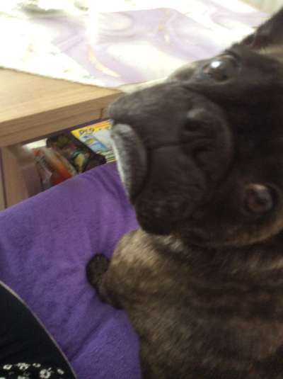 Fotocollage-Beitrag-Bild