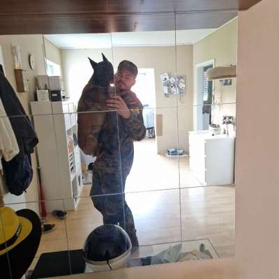 Hundetreffen-Großhunde Treffen