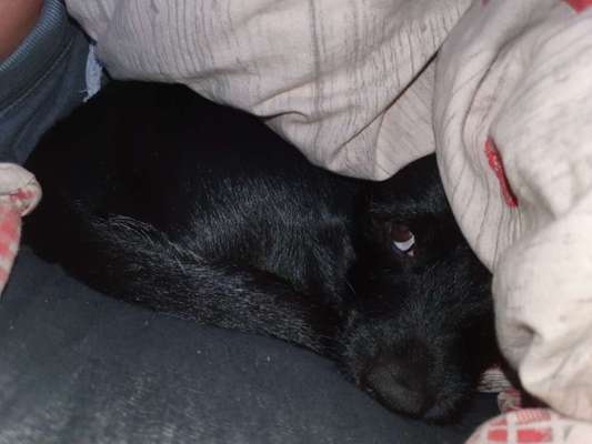 Die unbequemsten und lustigsten Schlafpositionen-Beitrag-Bild