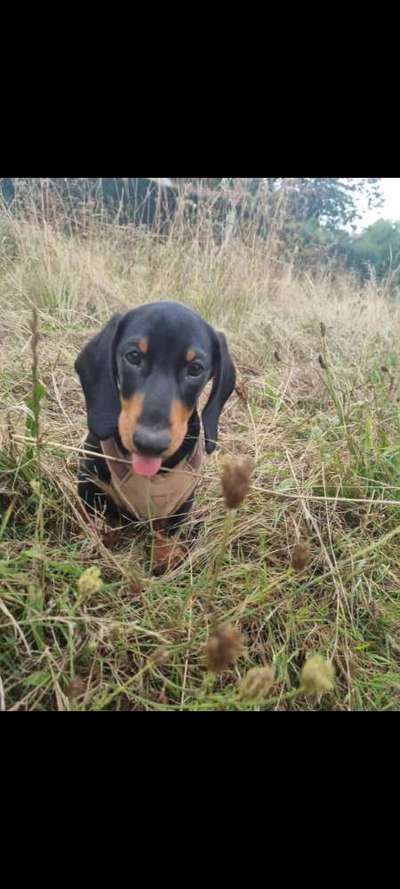 Handyfoto challenge Nr. 13: Waschlappen raus!-Beitrag-Bild