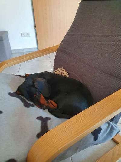 Fotochallange - Eingekugelt-Beitrag-Bild