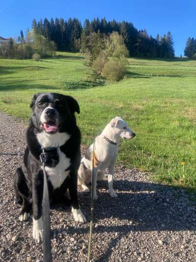 Knubbel Punktieren oder Entfernen?-Beitrag-Bild